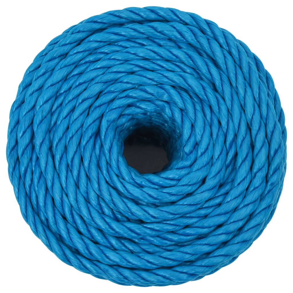 Vidaxl werktouw 10 mm 50 m polypropeen blauw