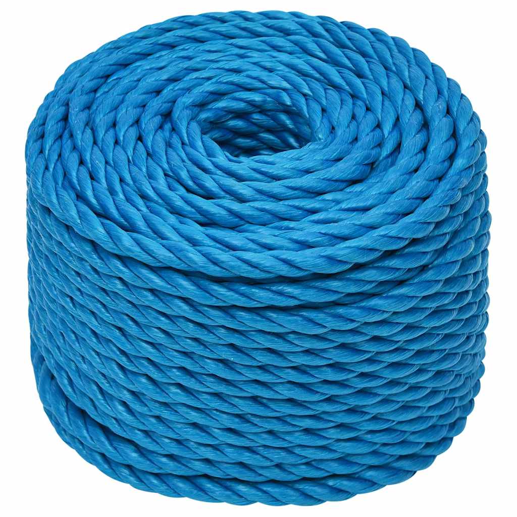 Vidaxl werktouw 14 mm 25 m polypropeen blauw