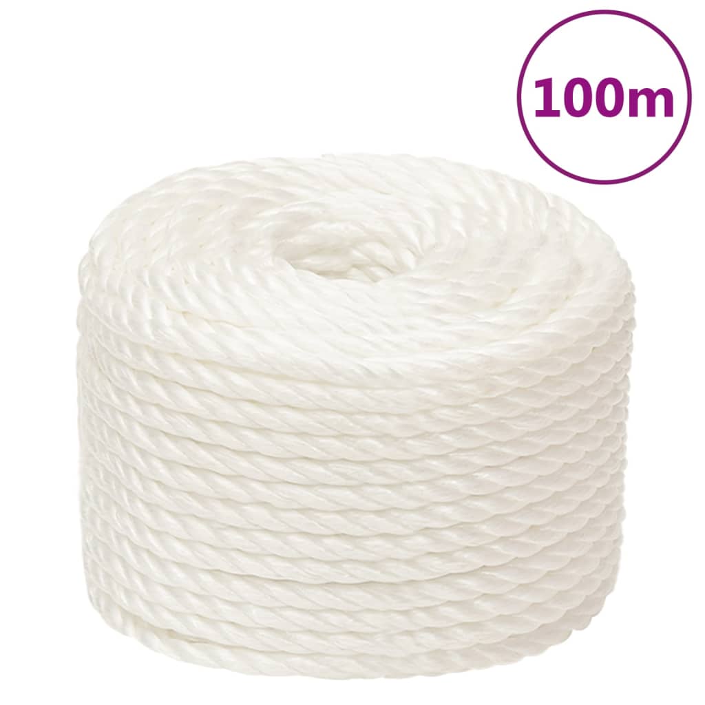 Vidaxl werkouw 10 mm 100 m en polypropène blanc