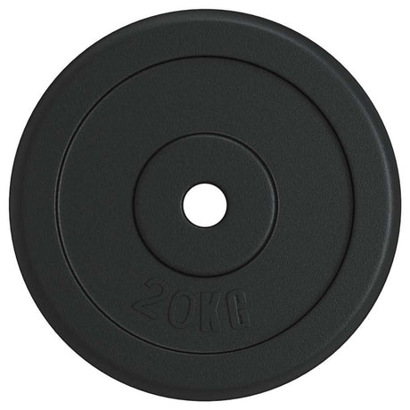Vidaxl halterschijf 20 kg gietijzer