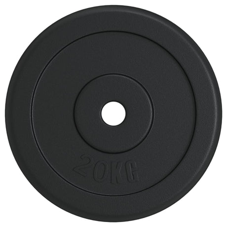Vidaxl halterschijf 20 kg gietijzer