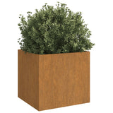 Vidaxl Planter 32x30x29 cm korten jeklo