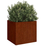 Vidaxl plantenbak 49x47x46 cm cortenstaal