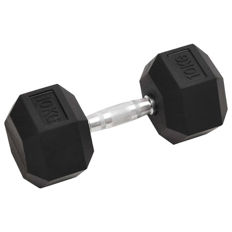Vidaxl halters 2 st 10 kg totaal gietijzer