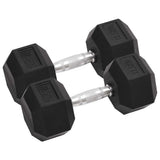 Vidaxl halters 2 st 25 kg totaal gietijzer