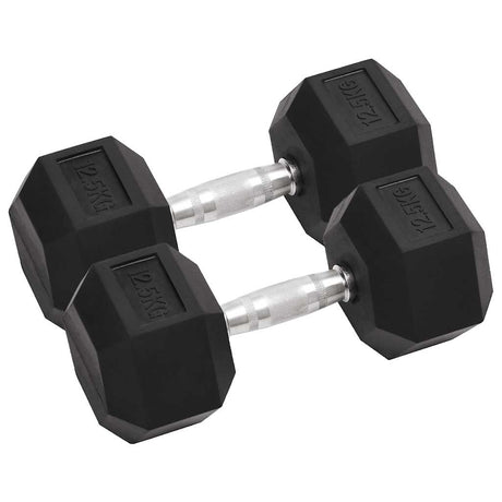 Vidaxl halters 2 st 25 kg totaal gietijzer