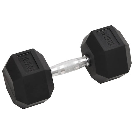 Vidaxl halters 2 st 25 kg totaal gietijzer