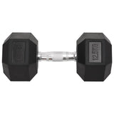 Vidaxl halters 2 st 25 kg totaal gietijzer