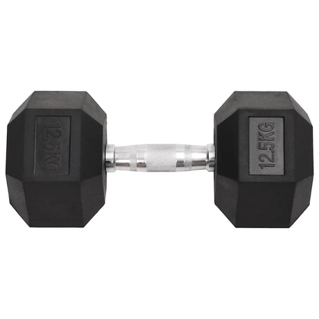 Vidaxl halters 2 st 25 kg totaal gietijzer