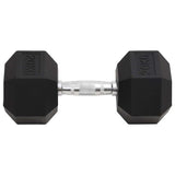 Vidaxl halters 20 kg gietijzer