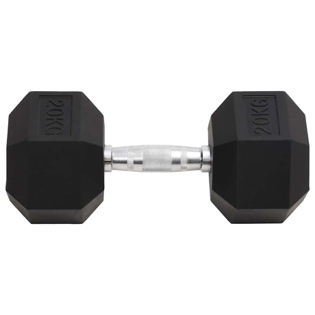 Vidaxl halters 20 kg gietijzer