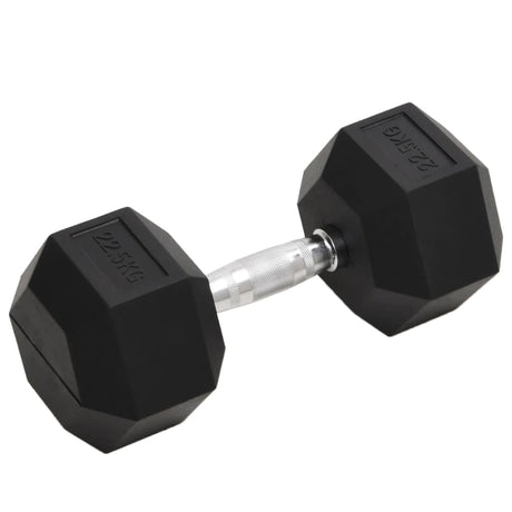 Vidaxl halters 22,5 kg gietijzer