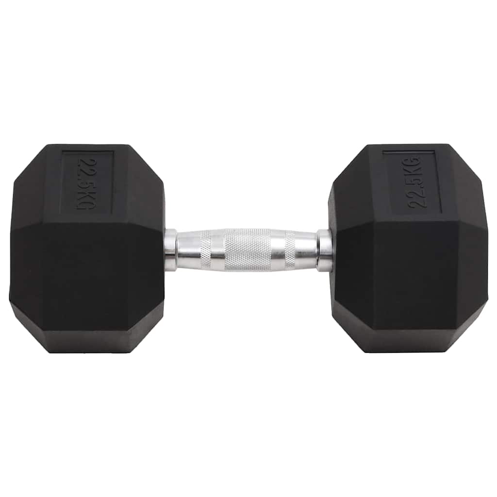 Vidaxl halters 22,5 kg gietijzer