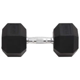 Vidaxl halters 22,5 kg gietijzer
