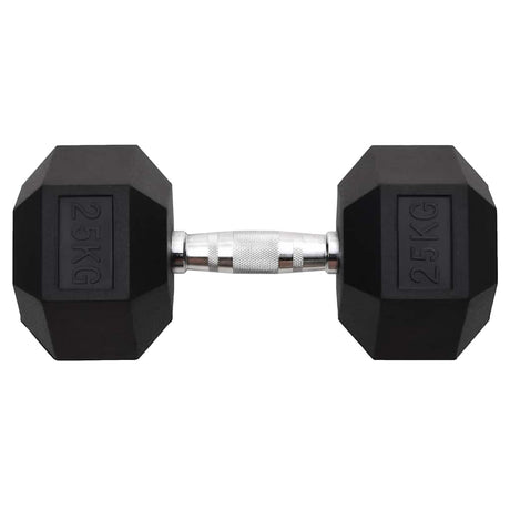 Vidaxl halters 25 kg gietijzer
