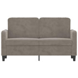 Vidaxl tweezitsbank 120 cm fluweel lichtgrijs