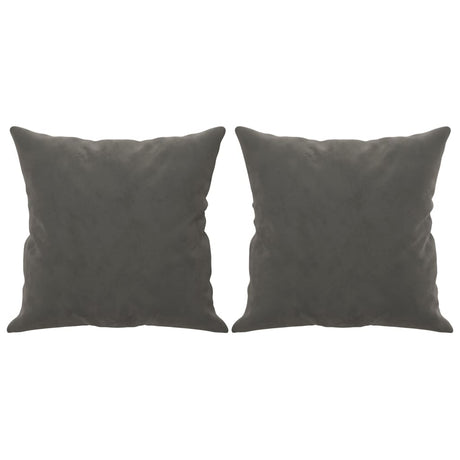 Vidaxl sierkussens 2 st 40x40 cm fluweel donkergrijs