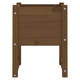 Vidaxl plantenbak 40x40x52,5 cm massief grenenhout honingbruin