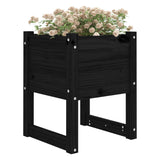 Vidaxl Planters 2 St 40x40x52,5 cm trden borov črna