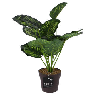 Mica decorations mica decorations kunstplant calathea in pot groen 40 cm