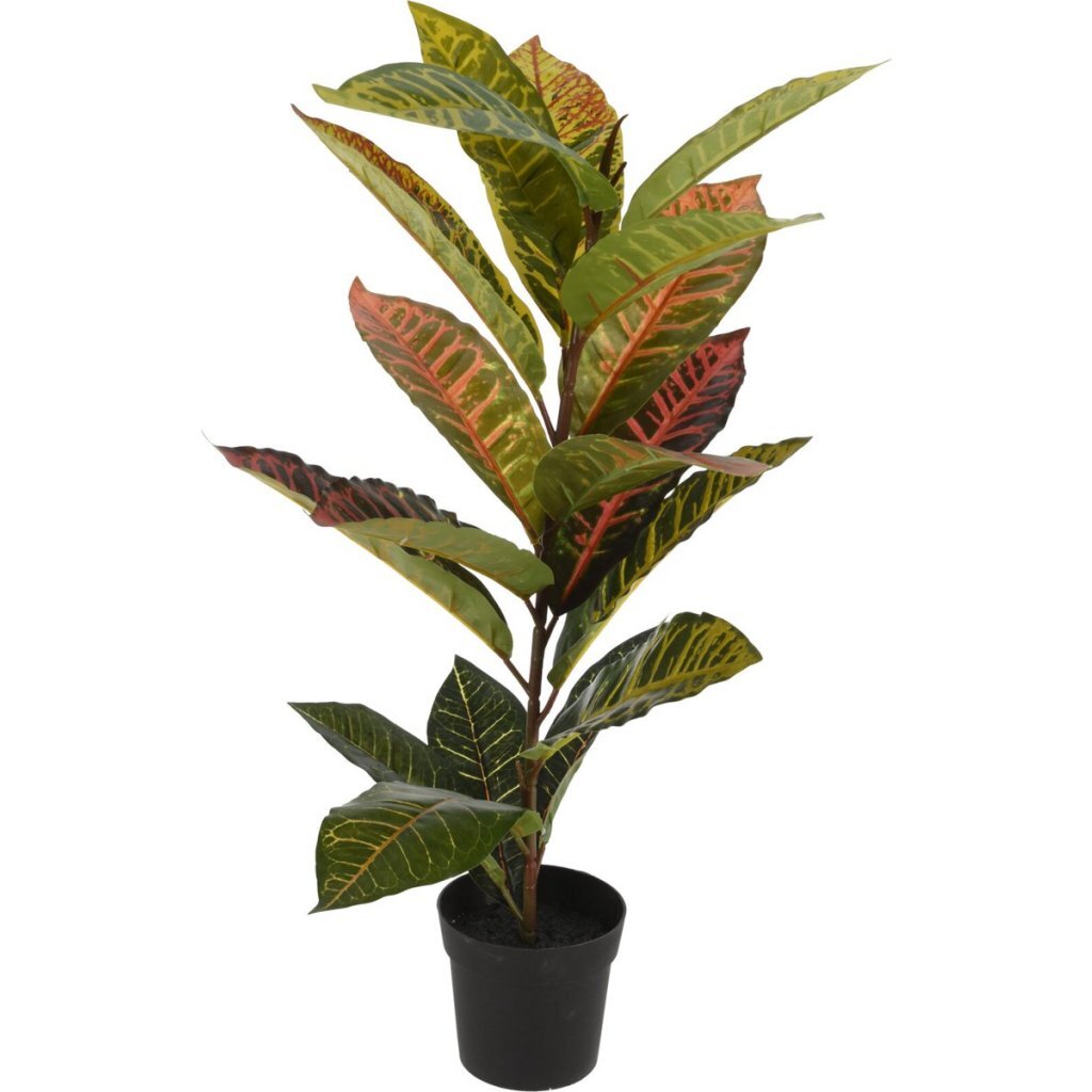 Overige merken kunstplant calathea 40x65 cm groen roze