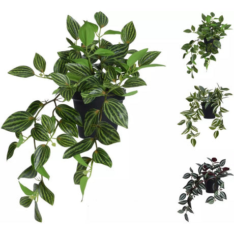 Overige merken kust hangplant tradescantia in pot 42 cm assorti