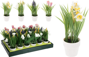 Bloemen in witte pot 23cm - assorti