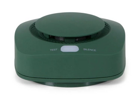 Smartwares brainz rookmelder - groen