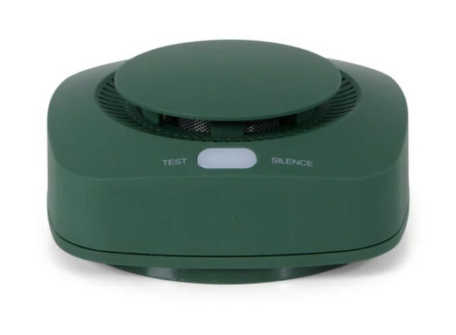 Smartwares brainz rookmelder - groen