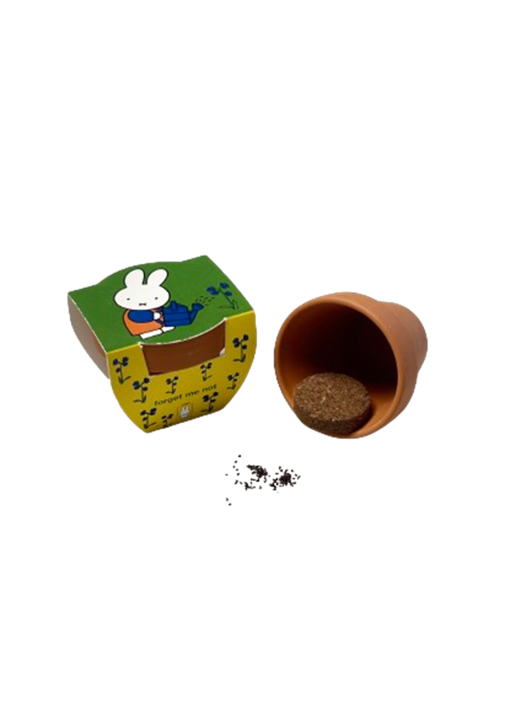 Nijntje terracota pot vergeet mij niet.