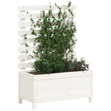 Vidaxl Planter med rack 79x39.5x114 cm Solid Pine White White