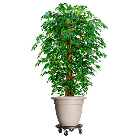 Vidaxl plantentrolleys met wielen 2 st 275 kg diameter 40 cm zwart