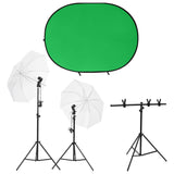 Vidaxl Photo studio set with lighting set and background screen