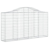 VidaXL Schans baskets 2 ST vaulted 200x30x100 120 cm iron