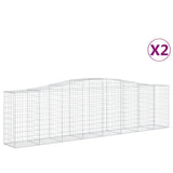 VidaXL Schans baskets 2 ST vaulted 400x50x100 120 cm iron