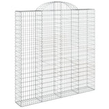 VidaXL Schans baskets 2 ST vaulted 200x30x200 220 cm iron