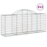 Vidaxl Schans Baskets 12 ST Krancoval 200x50x80 100 cm železo