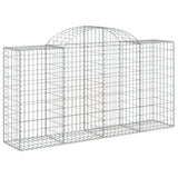 VidaXL Schans baskets 2 ST vaulted 200x50x100 120 cm iron