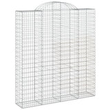 VidaXL Schans baskets 2 ST vaulted 200x50x220 240 cm iron