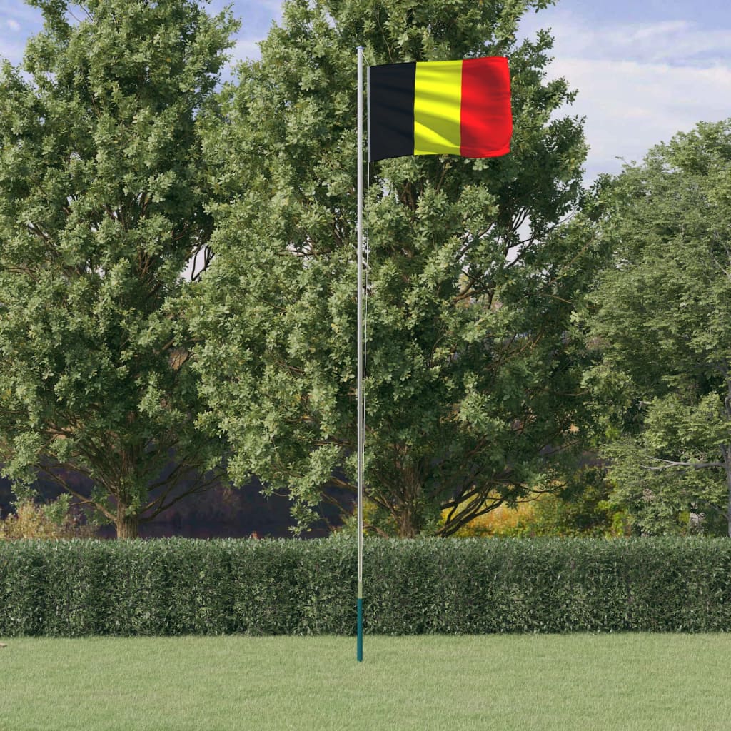 Flag Vidaxl con flagpole 6.23 m alluminio