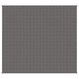 VIDAXL FAIBLAGE COUVERTURE 200X225 cm 9 kg de gris de tissu