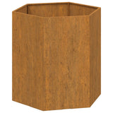 VIDAXL -Planungsbox Rosty 40x40x45 cm Corten Stahl