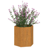 VIDAXL -Planungsbox Rosty 40x40x45 cm Corten Stahl