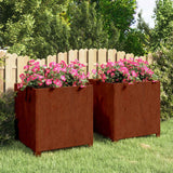 Vidaxl plantenbakken met poten 2 st roestig 50x50x50 cm cortenstaal