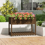 Vidaxl -planter med hylle 111.5x54x81 cm furu honning brun