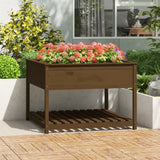 Vidaxl Planter med hylle 111.5x111.5x81 cm Pine honning brun