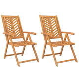 Vidaxl tuinstoelen 2 st verstelbaar massief acaciahout