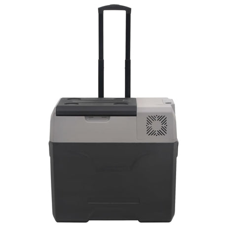 Vidaxl koelbox met wielen en handvat 30 l polypropeen zwart en grijs