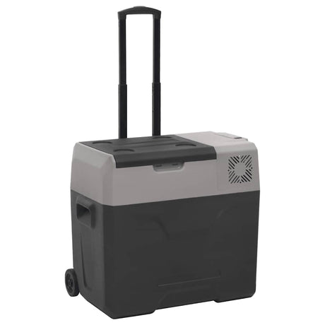 Vidaxl koelbox met wielen en handvat 40 l polypropeen zwart en grijs