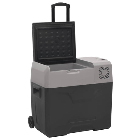 Vidaxl koelbox met wielen en handvat 40 l polypropeen zwart en grijs